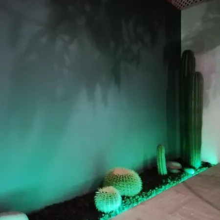 Casa Guadalupe Y Roque Holiday home Santa Cruz de Tenerife