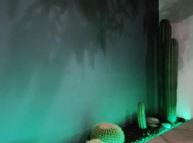 Casa Guadalupe Y Roque Vakantiehuis Santa Cruz de Tenerife